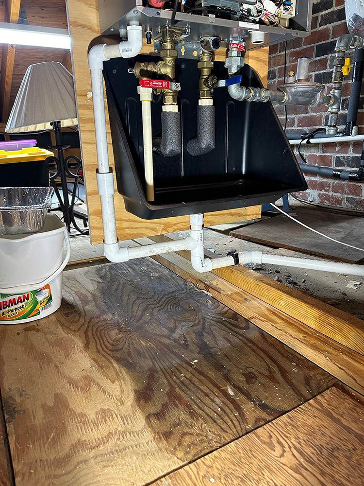 Tankless Water Heater